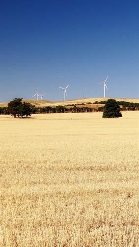 Wind Farm, Goyder Highway, SA.